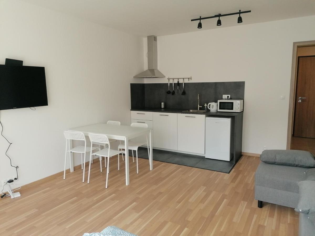 Brand New #62 With Free Secure Parking In The Center Apartment *