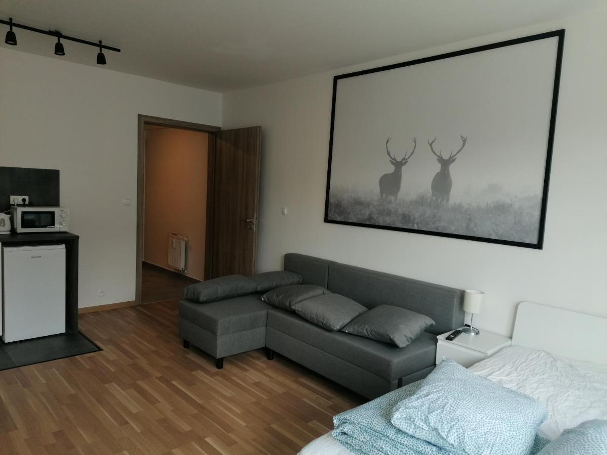 Apartment Brand New #62 With Free Secure Parking In The Center Prag